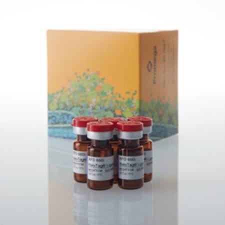 Buy XFD 660i HaloTag(R) Ligand, 5 pack in NZ. 