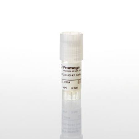 Buy PD-L1 Negative Cells in NZ. 