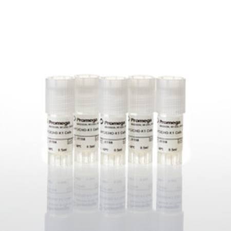 Buy PD-L1 Negative Cells 5X in NZ. 
