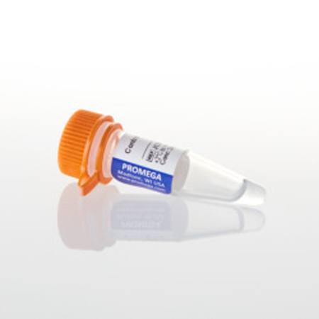 Buy Control Ab, Anti-PD-1 in NZ.
