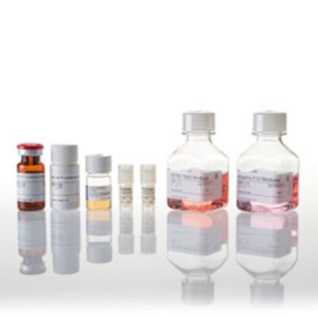 Buy PD-1/PD-L1 Blockade Bioassay in NZ.