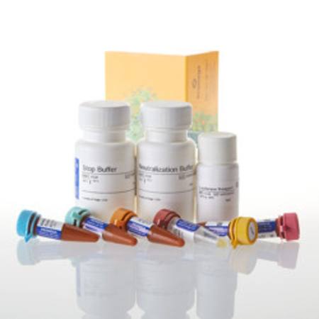Buy Glucose Uptake-Glo(TM) Assay, 10ml in NZ. 