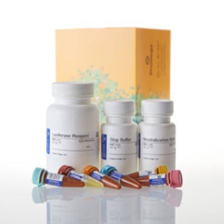 Buy Glucose Uptake-Glo(TM) Assay, 50ml in NZ. 