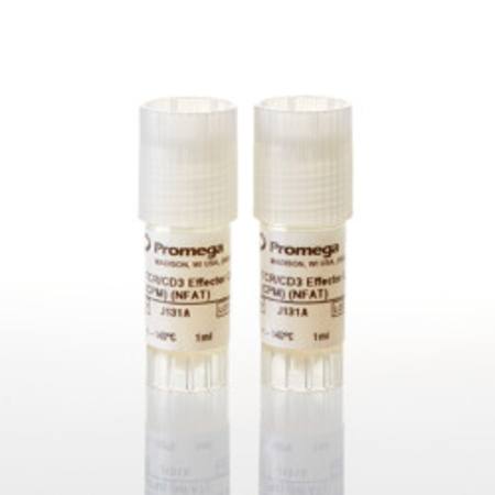 Buy T Cell Activation Bioassay (NFAT), Propagation Model in NZ. 