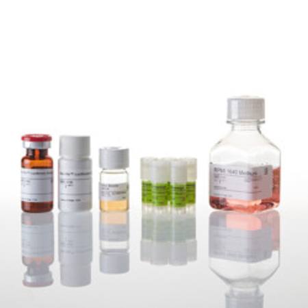T Cell Activation Bioassay (IL-2) 5X