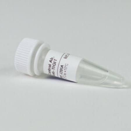 Buy Control Ab, Anti-TIGIT in NZ.