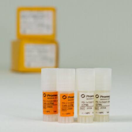 Buy PD-1+TIGIT Combination Bioassay, Propagation Model in NZ.