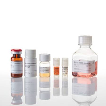 Buy TIGIT/CD155 Blockade Bioassay in NZ. 