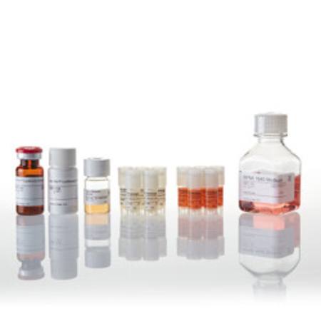 Buy TIGIT/CD155 Blockade Bioassay 5X in NZ.
