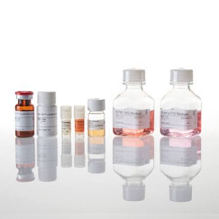 Buy PD-1 + TIGIT Combination Bioassay in NZ.