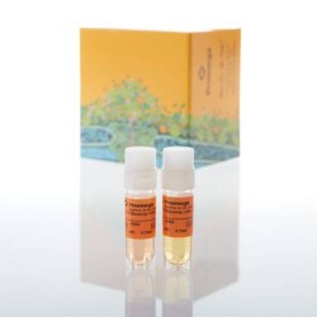 Buy IL-15 Bioassay, Propagation Model in NZ.
