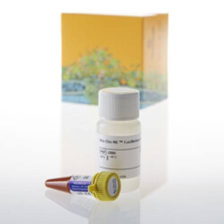 Buy Bio-Glo-NL(TM) Luciferase Assay System, 10ml in NZ.