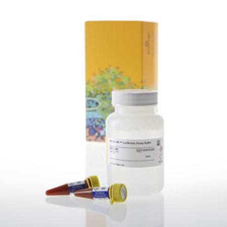Buy Bio-Glo-NL(TM) Luciferase Assay System,100ml in NZ.