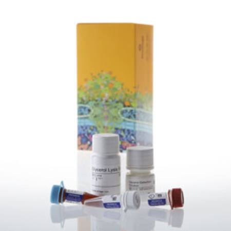 Buy Glycerol-Glo (TM) Assay, 5ml in NZ.