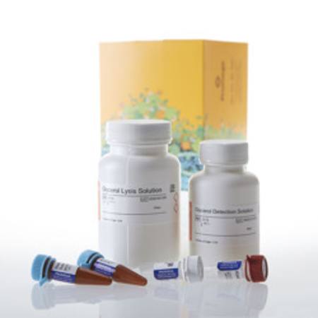 Buy Glycerol-Glo(TM) Assay, 50ml in NZ. 