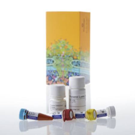 Buy Triglyceride-Glo(TM) Assay, 5ml in NZ.