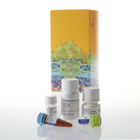 Buy Cholesterol/Cholesterol Ester-Glo(TM) Assay, 5ml in NZ. 