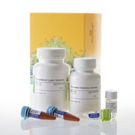 Buy Cholesterol/Cholesterol Ester-Glo(TM) Assay, 50ml in NZ.