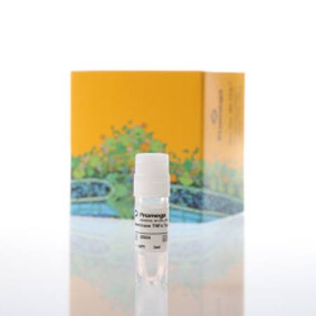 Buy Membrane TNFalpha Target Cells in NZ. 