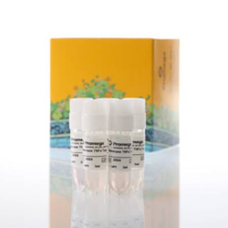 Buy Membrane TNFalpha Target Cells 5X in NZ. 