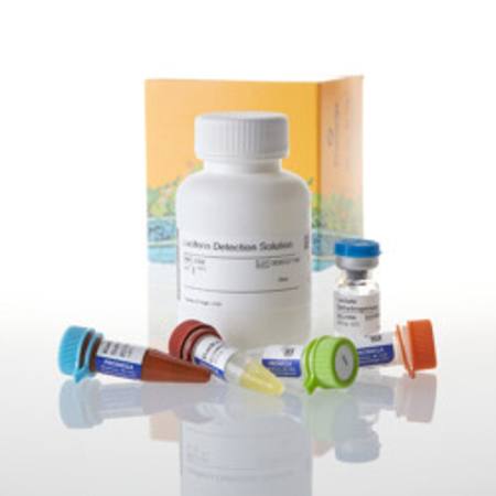 Buy Lactate-Glo(TM) Assay, 50ml in NZ. 