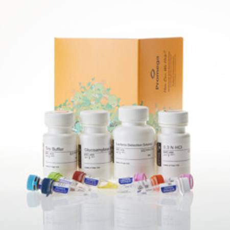 Buy Glycogen-Glo(TM) Assay, 50ml in NZ.