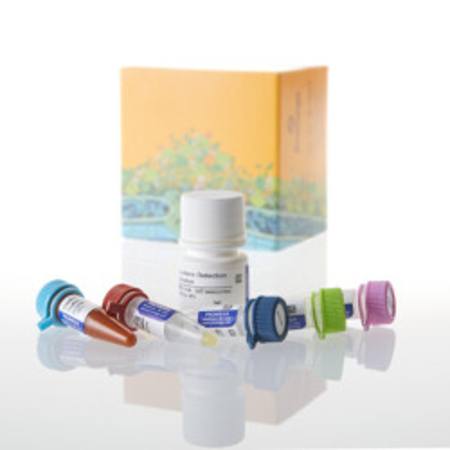 Buy Glucose-Glo(TM) Assay, 5ml in NZ.