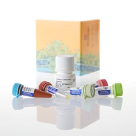 Buy Glutamate-Glo(TM) Assay, 5ml in NZ. 
