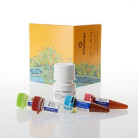 Buy Dehydrogenase-Glo(TM) Detection System, 5ml in NZ.