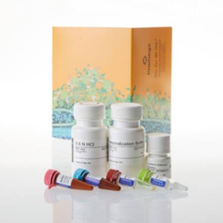 Buy Metabolite-Glo(TM) Detection System, 5ml in NZ.