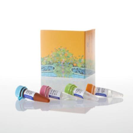 Buy RealTime(TM) Annexin V Apoptosis Assay, 1000 Assay in NZ.