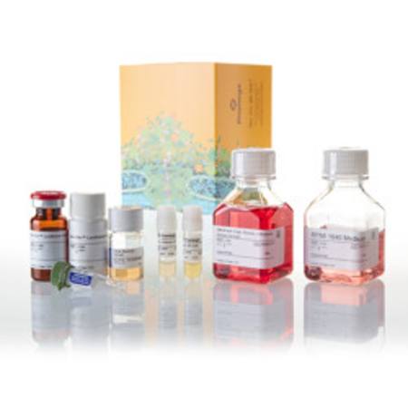 Buy LAG-3/MHCII Blockade Bioassay 5X in NZ.