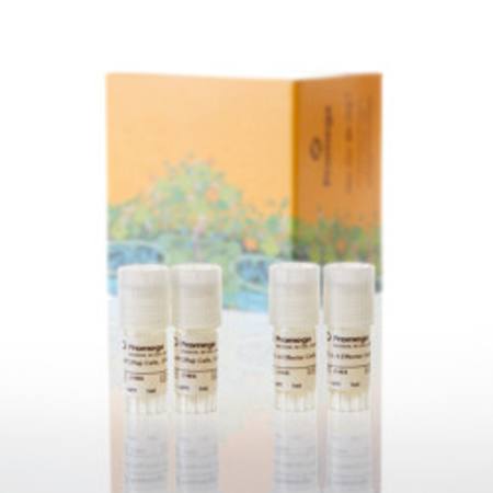 Buy CTLA-4 Blockade Bioassay, Propagation Model in NZ.