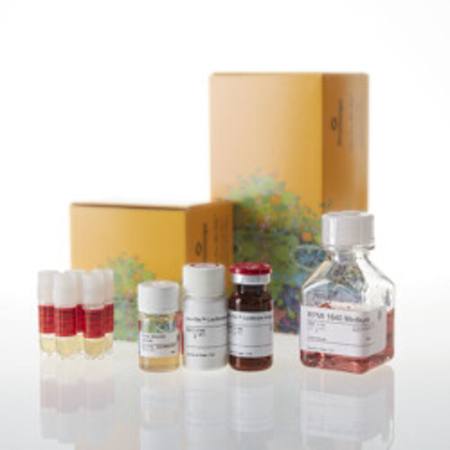 Buy CD40 Bioassay 5X in NZ.