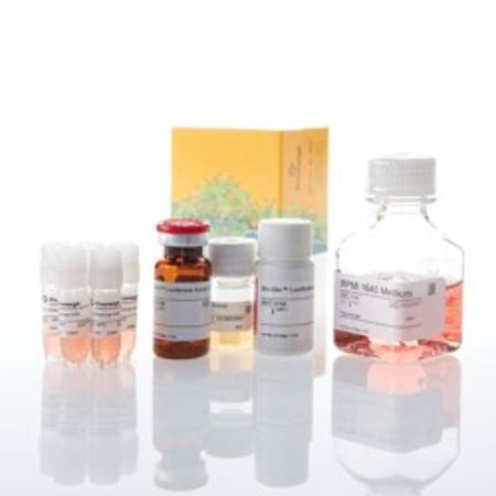 Buy IL-2 Bioassay, 5X in NZ. 