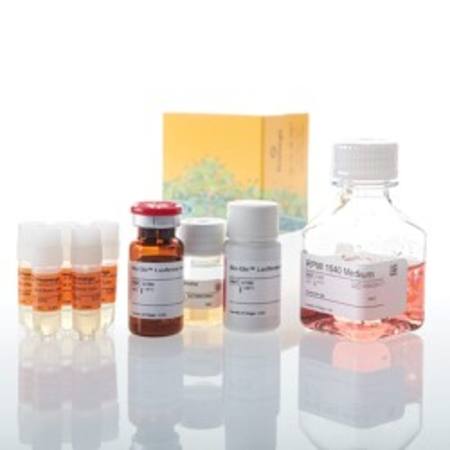 Buy 4-1BB Bioassay 5X in NZ. 