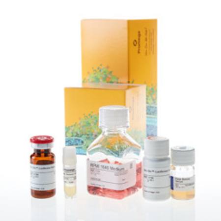 Buy RANKL Bioassay in NZ.