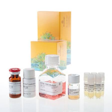 Buy RANKL Bioassay 5X in NZ.