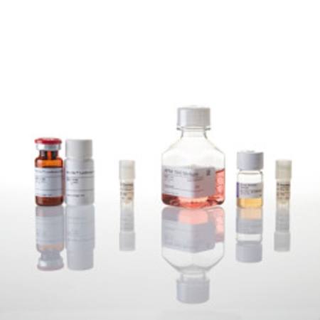 Buy CTLA-4 Blockade Bioassay in NZ. 