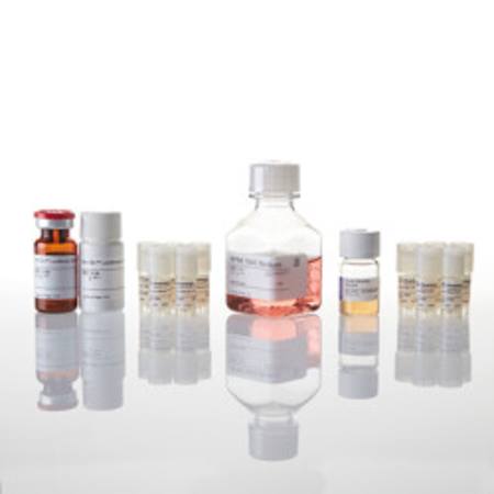 Buy CTLA-4 Blockade Bioassay 5X in NZ.
