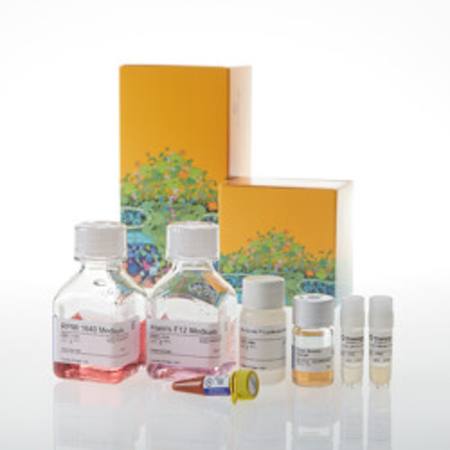 Buy ICOS Blockade Bioassay in NZ.