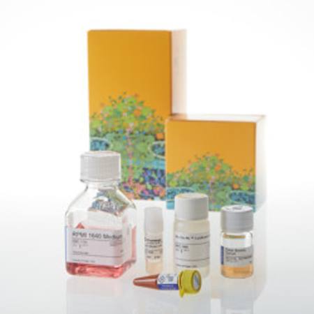 Buy ICOS Bioassay Core Kit in NZ. 
