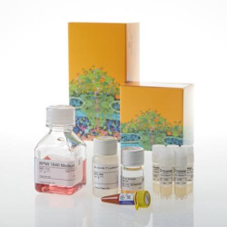 Buy ICOS Bioassay Core Kit 5X in NZ.