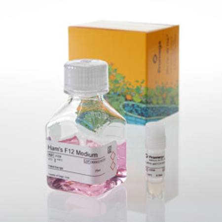 Buy FcyRIIb aAPC/CHO-K1 Cells in NZ. 