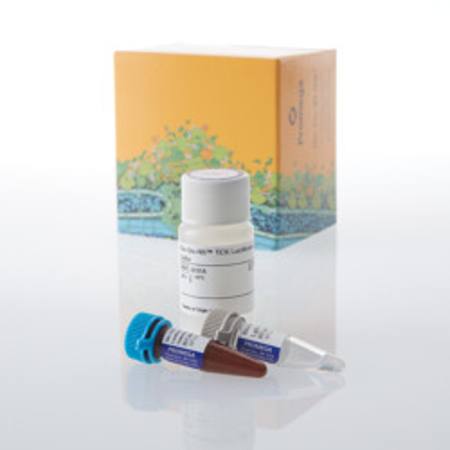 Buy Bio-Glo-NB(TM) TCK Luciferase Assay System, 10ml in NZ.