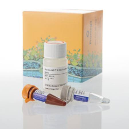Buy Bio-Glo-NB(TM) Lytic Luciferase Assay System, 10ml in NZ.