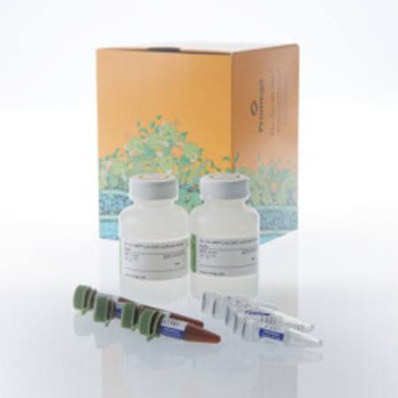 Buy Bio-Glo-NB(TM) VLP Luciferase Assay System, 100ml in NZ.