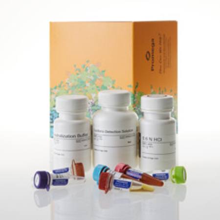Buy Malate-Glo(TM) Assay, 50ml in NZ.