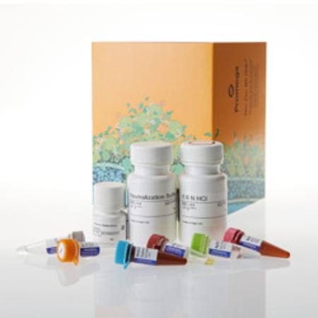 Buy BHB-Glo(TM) (Ketone Body) Assay, 5ml in NZ.
