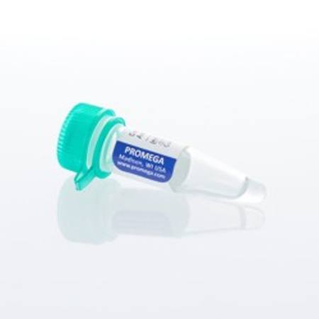 Buy Control Ab, Anti-4-1BB in NZ.